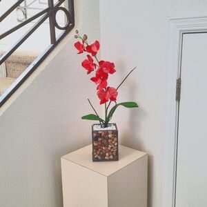 Orchid Earthy Arrangement Home Decoration